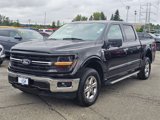 Used 2024 Ford F150 XLT image 3