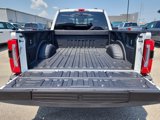 New 2025 Ford F250 Platinum image 4