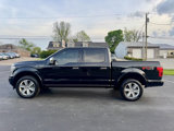 Used 2019 Ford F150 Platinum w/ Equipment Group 701A Luxury image 2