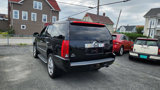 Used 2012 Cadillac Escalade Luxury image 5
