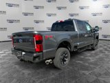 New 2025 Ford F250 XL w/ STX Appearance Package image 5