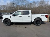 New 2025 Ford F150 STX w/ STX Black Appearance Package image 3