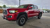 Used 2022 Toyota Tacoma TRD Off-Road image 2