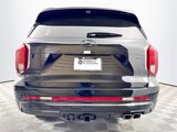 New 2025 Hyundai Palisade Calligraphy image 5