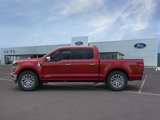 New 2025 Ford F150 XLT w/ Equipment Group 303A High image 4