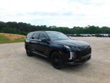 New 2025 Hyundai Palisade Calligraphy image 3