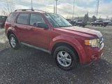 Used 2009 Ford Escape XLT image 3