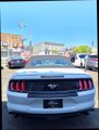 Used 2023 Ford Mustang Premium image 6