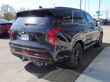 New 2025 Hyundai Palisade Calligraphy image 6
