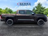 New 2025 Toyota Tundra 1794 Edition image 4