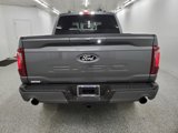 New 2025 Ford F150 XLT w/ Equipment Group 303A High image 5