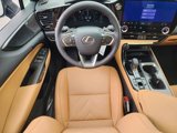 New 2025 Lexus NX 300h AWD w/ Luxury Package image 3