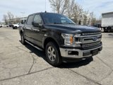 Used 2019 Ford F150 XLT w/ Equipment Group 302A Luxury image 3