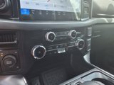 New 2025 Ford F150 XLT w/ Equipment Group 302A MID image 6