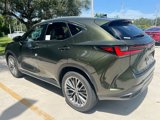 New 2026 Lexus NX 350 AWD w/ Luxury Package image 5