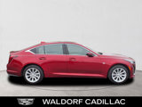Certified 2024 Cadillac CT5 Luxury w/ Sun And Sound Package image 2