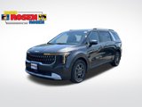 New 2026 Kia Carnival EX image 1