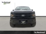 New 2025 Ford F150 XLT image 2