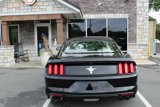 Used 2017 Ford Mustang Coupe image 6
