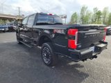 New 2025 Ford F250 Platinum image 3