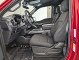 New 2025 Ford F150 XLT w/ Equipment Group 301A Standard image 4