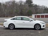 Used 2019 Hyundai Sonata Limited image 3