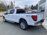 New 2025 Ford F150 XLT w/ Equipment Group 302A MID image 3