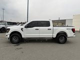 Used 2024 Ford F150 STX image 3