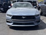 New 2025 Ford Mustang Coupe image 2