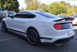 Used 2021 Ford Mustang Mach 1 image 5
