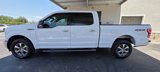 Used 2020 Ford F150 XLT w/ Equipment Group 302A Luxury image 2