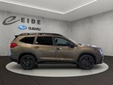 New 2025 Subaru Ascent Bronze Edition image 5