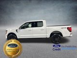 New 2025 Ford F150 XLT w/ Equipment Group 303A High image 2