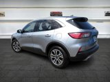 Used 2022 Ford Escape SEL image 5