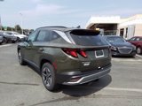 Certified 2025 Hyundai Tucson SEL image 5