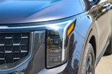 New 2026 Kia Carnival SX Prestige image 5