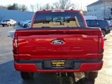 New 2025 Ford F150 XLT w/ Equipment Group 302A MID image 4
