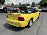 Used 2002 Ford Mustang GT image 5