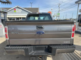 Used 2014 Ford F150 STX w/ Equipment Group 201A Mid image 4