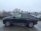 Certified 2024 Hyundai Tucson Blue image 4
