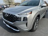 Used 2023 Hyundai Santa Fe Calligraphy image 3