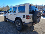 New 2025 Jeep Wrangler Sahara w/ Safety Group image 3