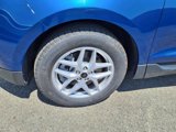Used 2024 Ford Edge SEL image 4