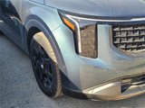 New 2025 Kia Carnival SX Prestige image 2