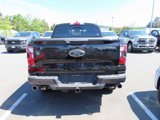 New 2025 Ford Ranger Raptor image 5