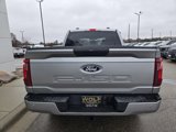 Used 2024 Ford F150 STX image 6