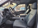 New 2025 Ford F150 XLT w/ Equipment Group 303A High image 6