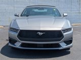 Used 2024 Ford Mustang Premium image 3