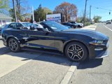 Used 2021 Ford Mustang Premium image 4