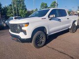 New 2025 Chevrolet Silverado 1500 Custom Trail Boss image 3